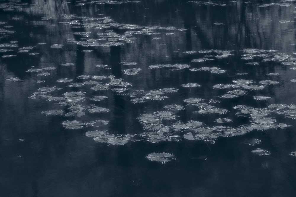 IMG_5465. Lago A. copy