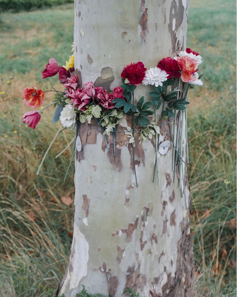 ROADYARDS_DUOSPlan-de-travail-9 (1)